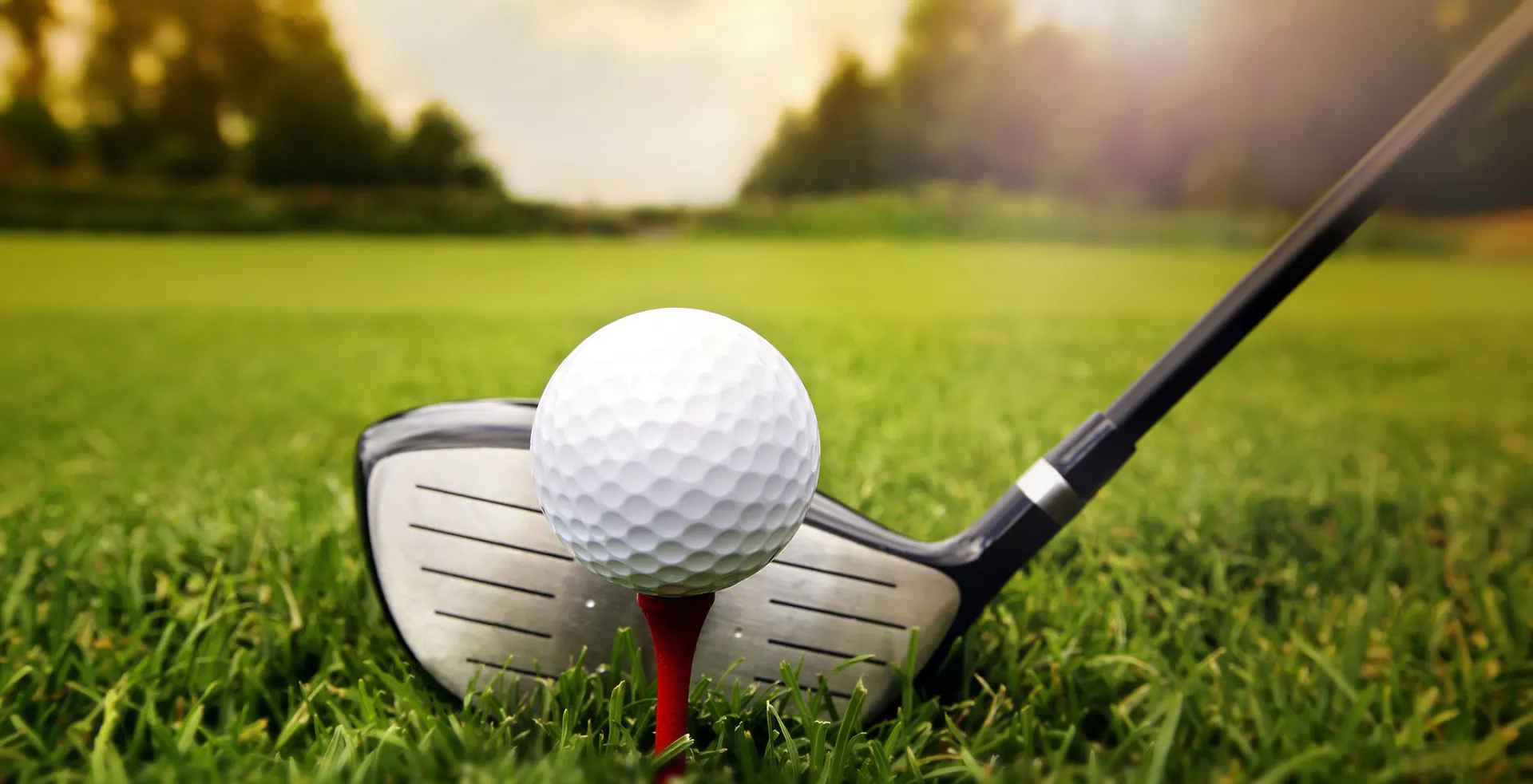 Golf ball on tee with driver head behind it on the range